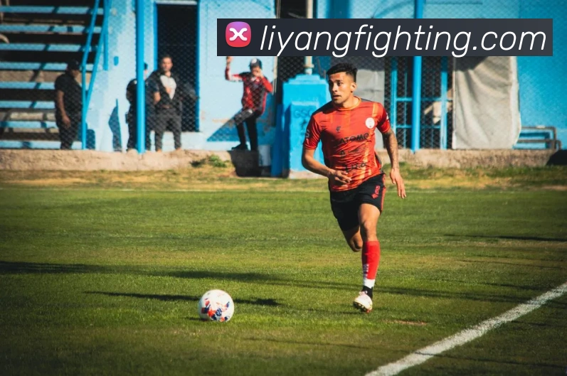 必一运动平台生态图